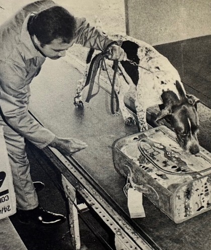 Officer Thomas Hickcox with german shorthair k9 1983